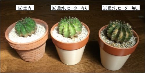 熱の実験室 新館 第27回 ヒーターで草木を守る